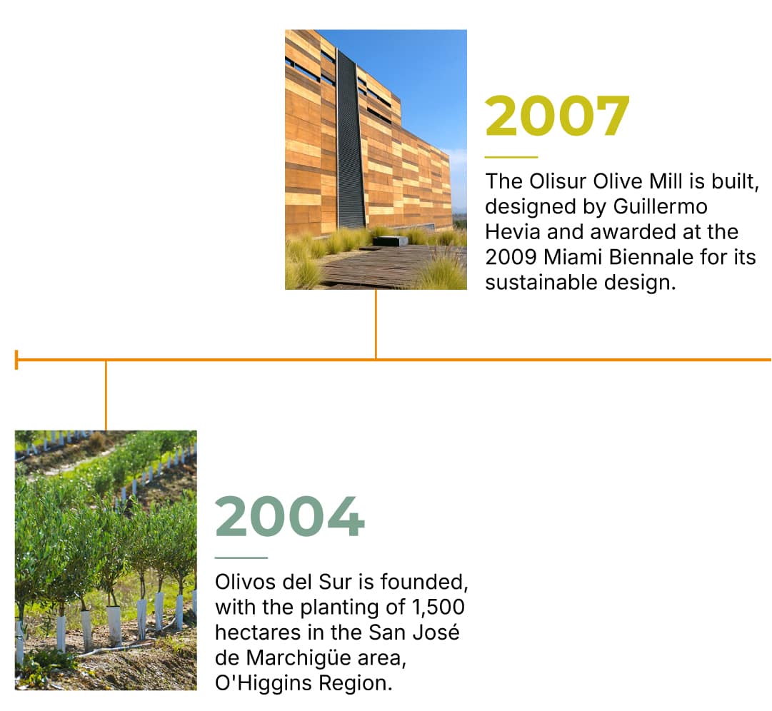 Timeline-Olisur-EN-3