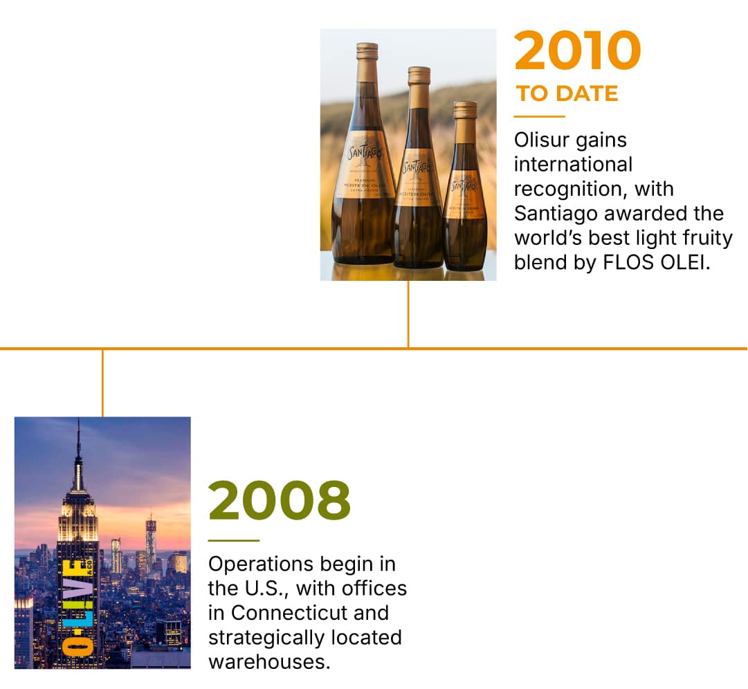 Timeline-Olisur-EN-4