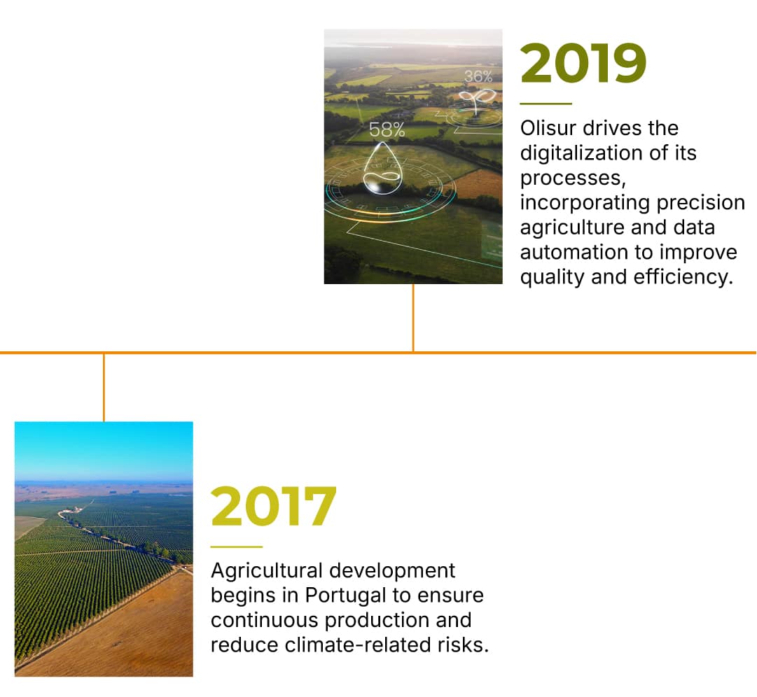 Timeline-Olisur-EN-6