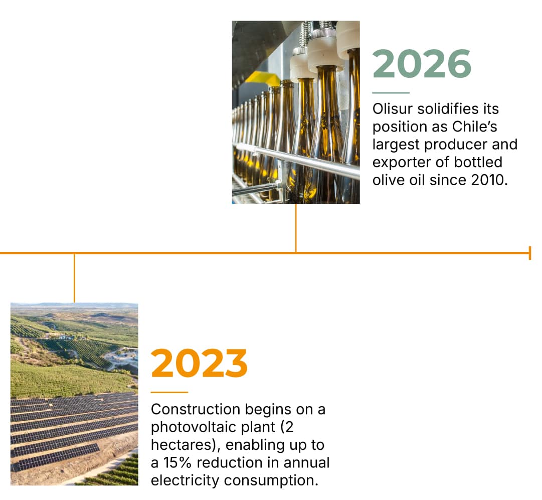 Timeline-Olisur-EN-7