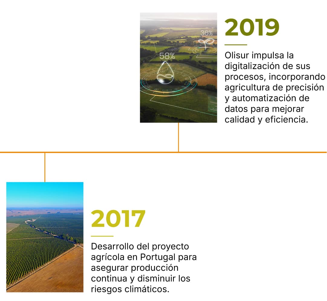 Timeline-Olisur-ES-6